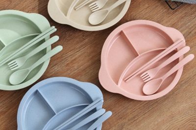 400Wheat Straw Plate Reusable Plastic Melamine Dinner Plate Sets (1)