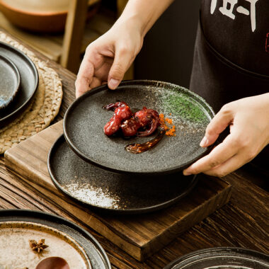 Japanese crockery pasta salad plates and dishes for restaurants and hotels