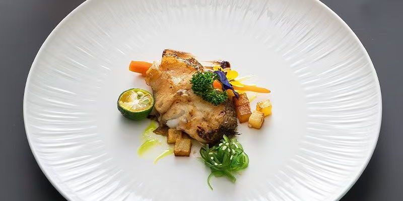 Premium ceramic crockery steak plates for home dining