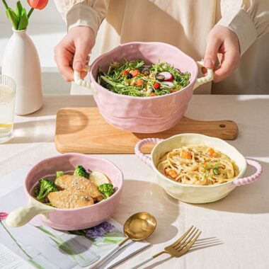 French creative double handle crockery dinner sets for home dining